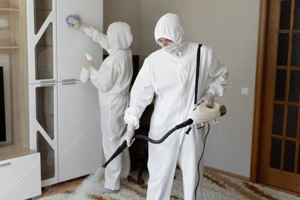 Best Office Mold Removal Services  in Forest Ranch, CA