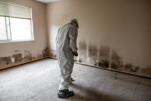 Best Crawl Space Mold Removal  in Forest Ranch, CA