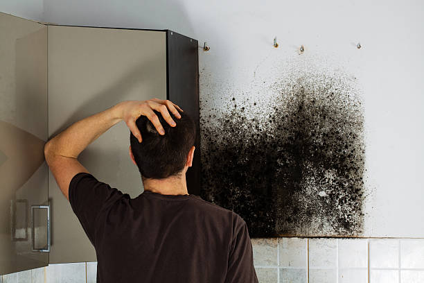 Best Residential Mold Removal  in Forest Ranch, CA